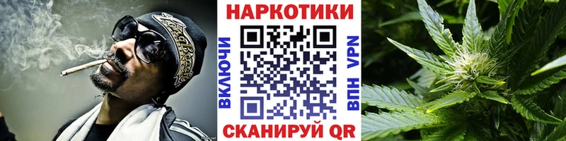 Купить наркотик Судак Гашиш  OMG маркетплейс  Alpha-PVP  Меф  COCAIN 