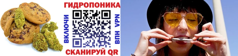 darknet клад  Судак  Cannafood конопля 