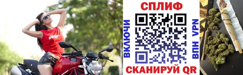 это как зайти  Судак  Бошки марихуана сатива  цена  